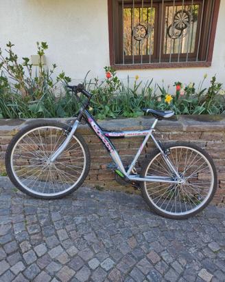 Mountain Bike Rampichino
