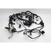 IMPIANTO ELETTRICO HUSQVARNA SVARTPILEN 701 2018 2