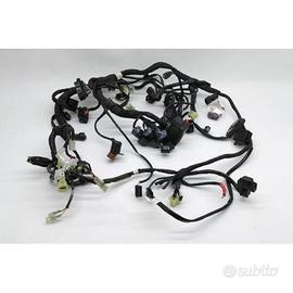 IMPIANTO ELETTRICO HUSQVARNA SVARTPILEN 701 2018 2