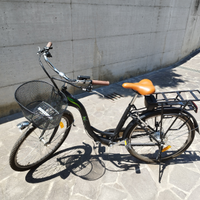 Bici elettrica