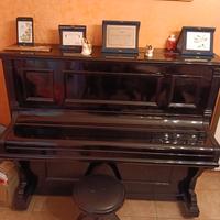 Pianoforte waldemar 