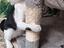 Immagine 1