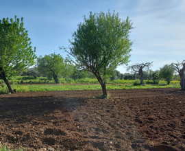 Terreno agricolo Bari, in zona Santa Caterina