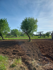 Terreno agricolo Bari, in zona Santa Caterina