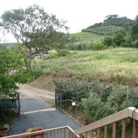 Terreno Uliveto in Maremma