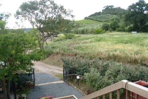 Terreno Uliveto in Maremma