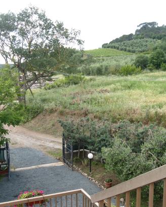 Terreno Uliveto in Maremma