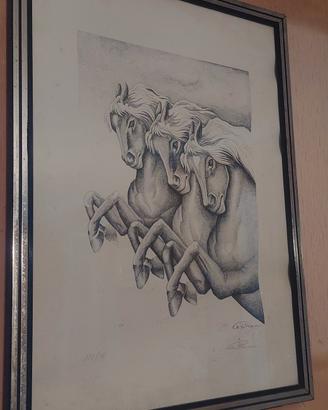 litografia Castrucci