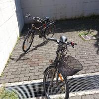 Biwin Decathlon Original da 26" e da 28"