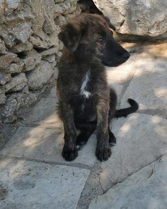 Regalare una casa a chi ha già sofferto