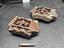 Immagine 5
