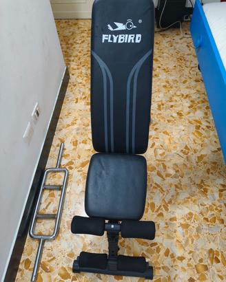 Panca Palestra regolabile