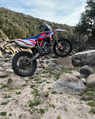 Beta RR