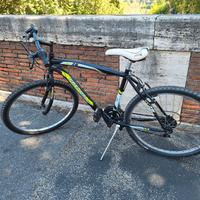 Bicicletta in buono stato – pronta all’uso