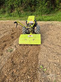 Grillo 131