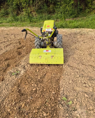 Grillo 131
