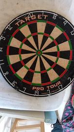 Bersaglio freccette pro tour target