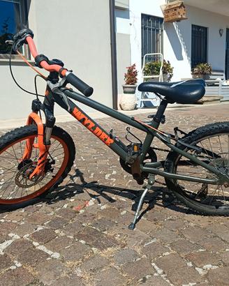 mauntanbike da bambino 