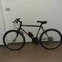 Mountain bike Adorni