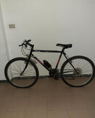 Mountain bike Adorni