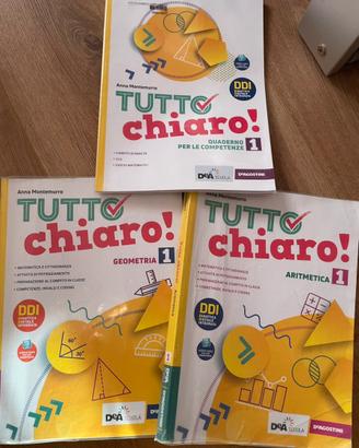 tutto chiaro 1 (matematica/geometria)