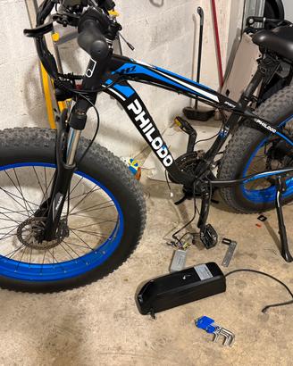 Bicicletta elettrica