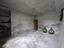 Immagine 11
