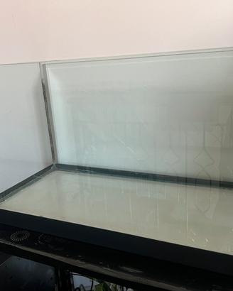 Acquario