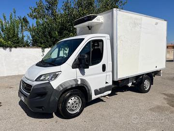 Fiat ducato 2.3 Mjt con cella frigo -2016