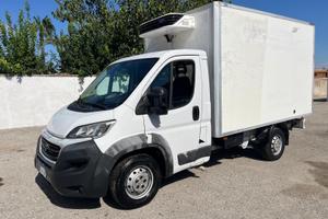 Fiat ducato 2.3 Mjt con cella frigo -2016