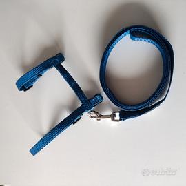 guinzaglio per gatti 