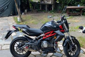 benelli bn302