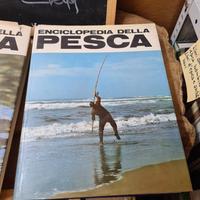 PIERONI Piero Enciclopedia della pesca Sadea Sanso
