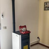 stufa a pellet bio 100 canalizzata