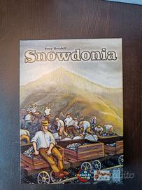 Snowdonia. Gioco da tavolo