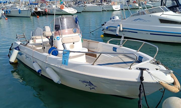 SAVER 540 OPEN anno 2008+ CARRELLO ALA