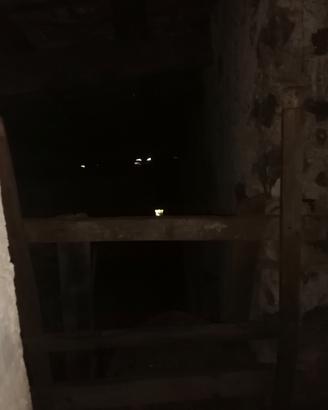 Vendemmia c, è r c a, si