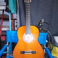 Chitarra EKO cs 10