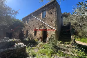 Casa, Piraino.