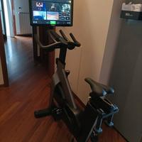 Tecnogym bike