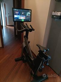 Tecnogym bike