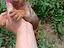Immagine 17