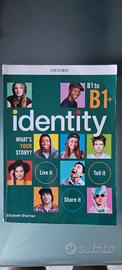 B1 to B1 + Identity 