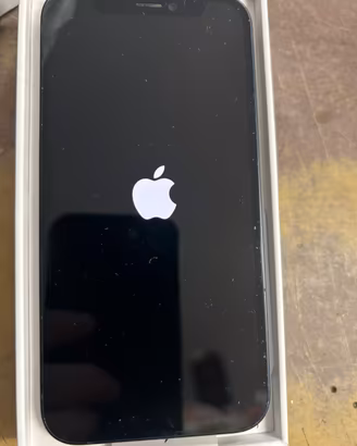 iPhone 12 mini