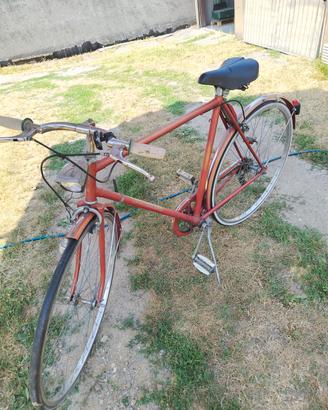 bicicletta 