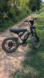 fat e-bike 