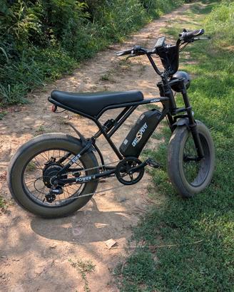 fat e-bike 