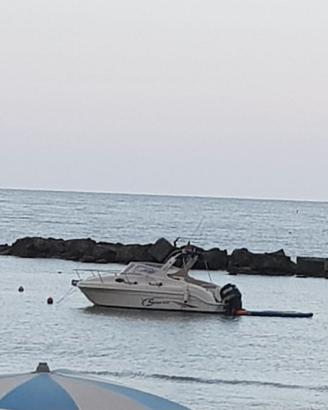 Saver 650 Cabin Sport e Selva Yamaha 150cv 4t