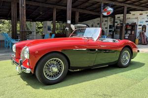 Austin-Healey 100 BN1 – 1954