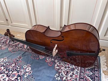 Violoncello Domus - Allievo 1